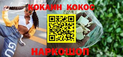 шишки Новодвинск