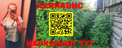 каннабис Будённовск
