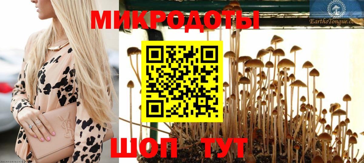 Псилоцибиновые грибы ЛСД Чехов