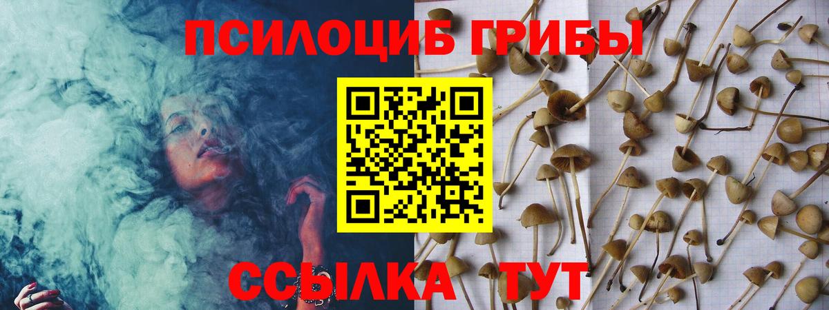 Чехов  Галлюциногенные грибы мицелий  Вход с VPN 